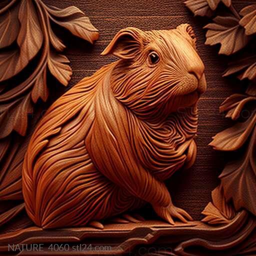 st Guinea pig 4